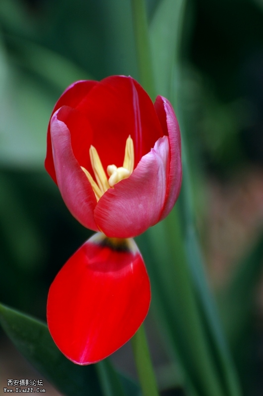 DSC_8265.JPG