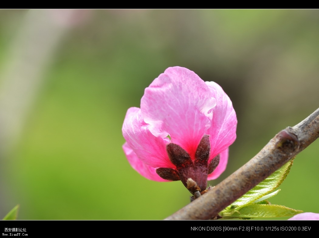 _WZG4865_缩小大小.JPG