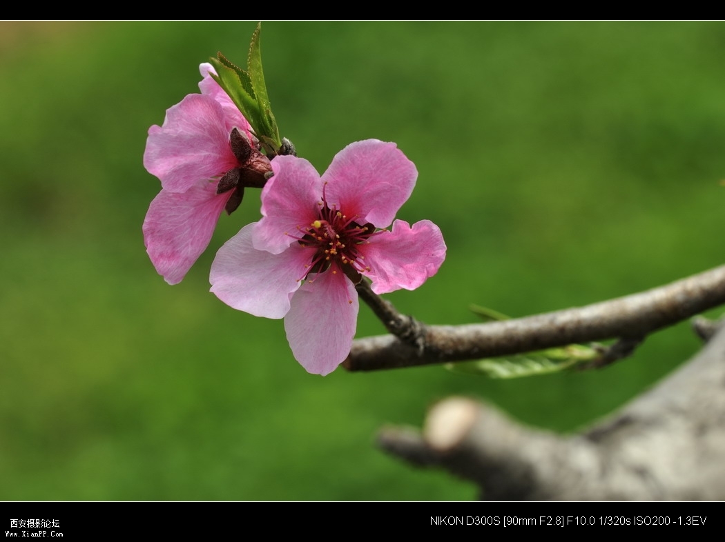 _WZG4893_缩小大小.JPG