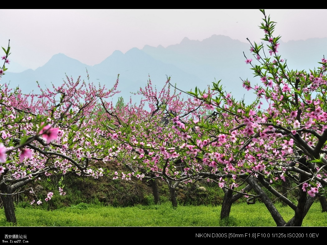 _WZG4914_缩小大小.JPG