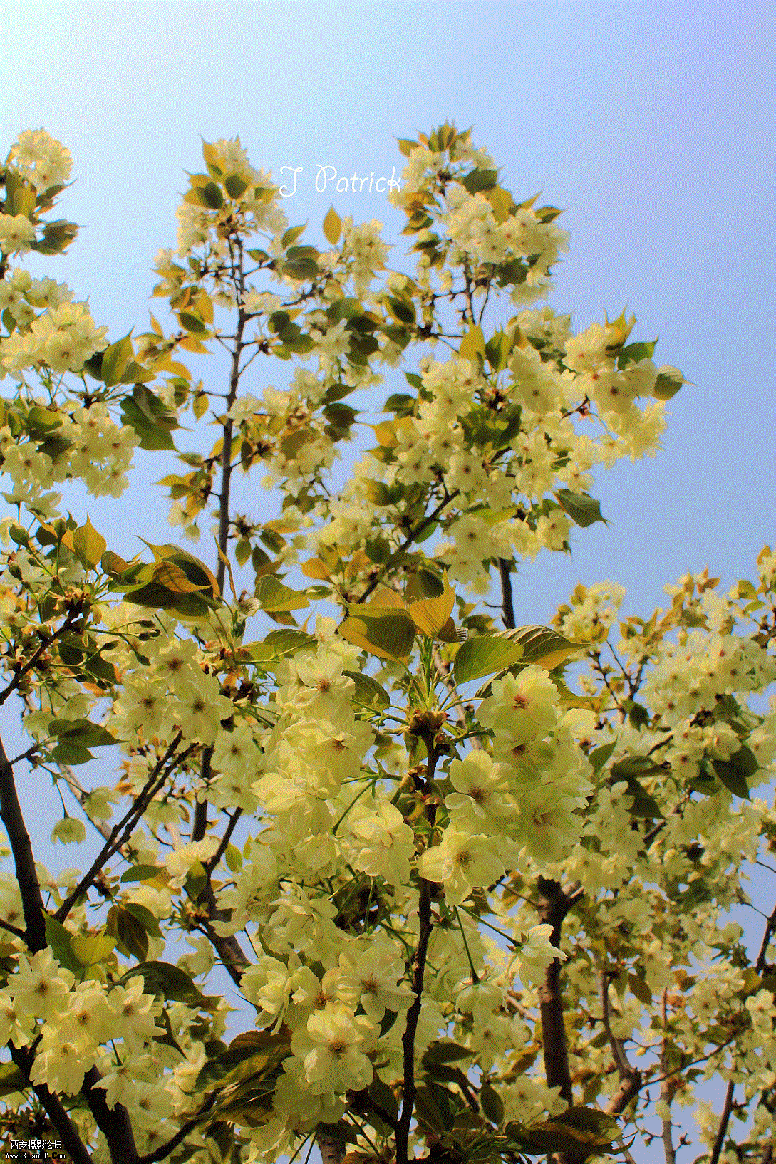 IMG_8251.gif