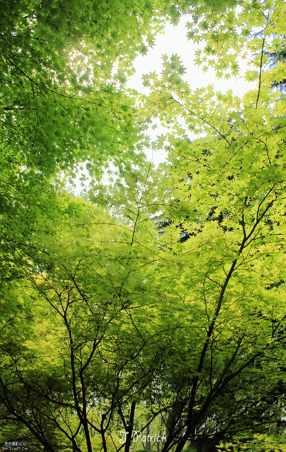 IMG_8319.gif