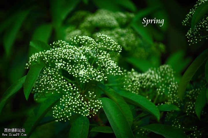 p_large_awQY_49160005d94e5c42.jpg