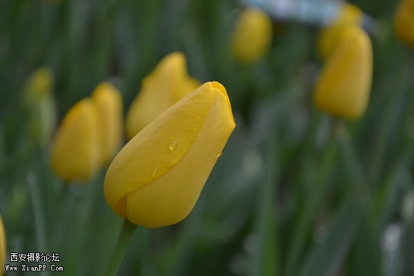 DSC_019160.jpg