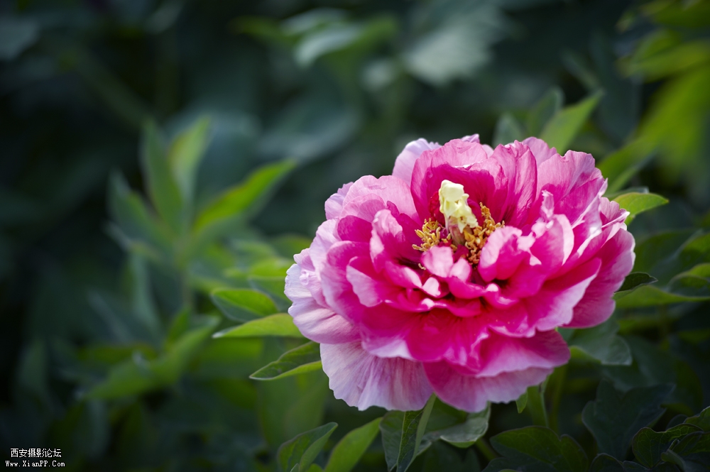 DSC_3309.jpg