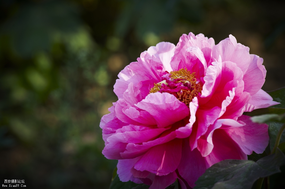 DSC_3396.jpg