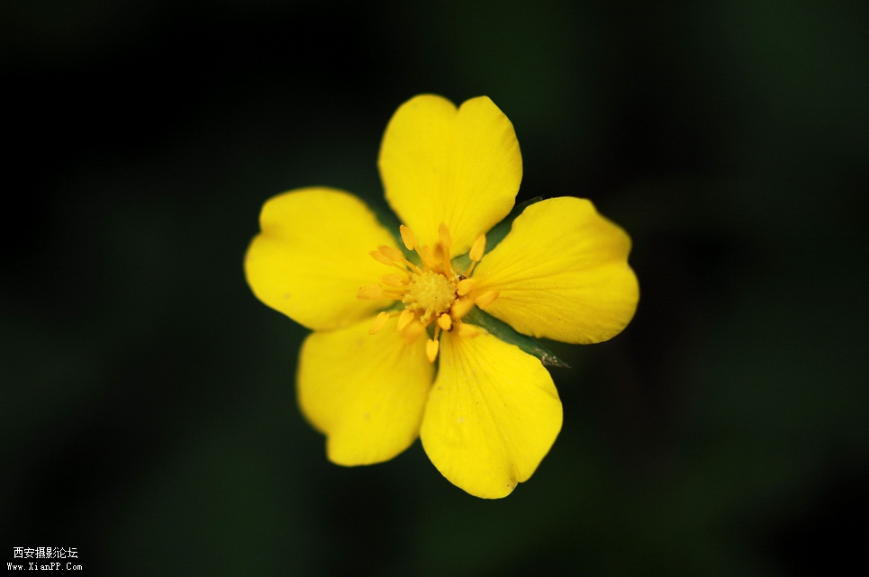 DSC_0165.JPG