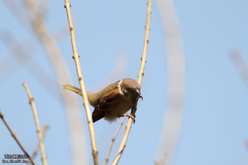 20110426清晨0700_副本.jpg
