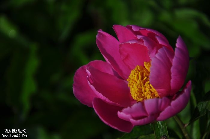 DSC_003015.jpg