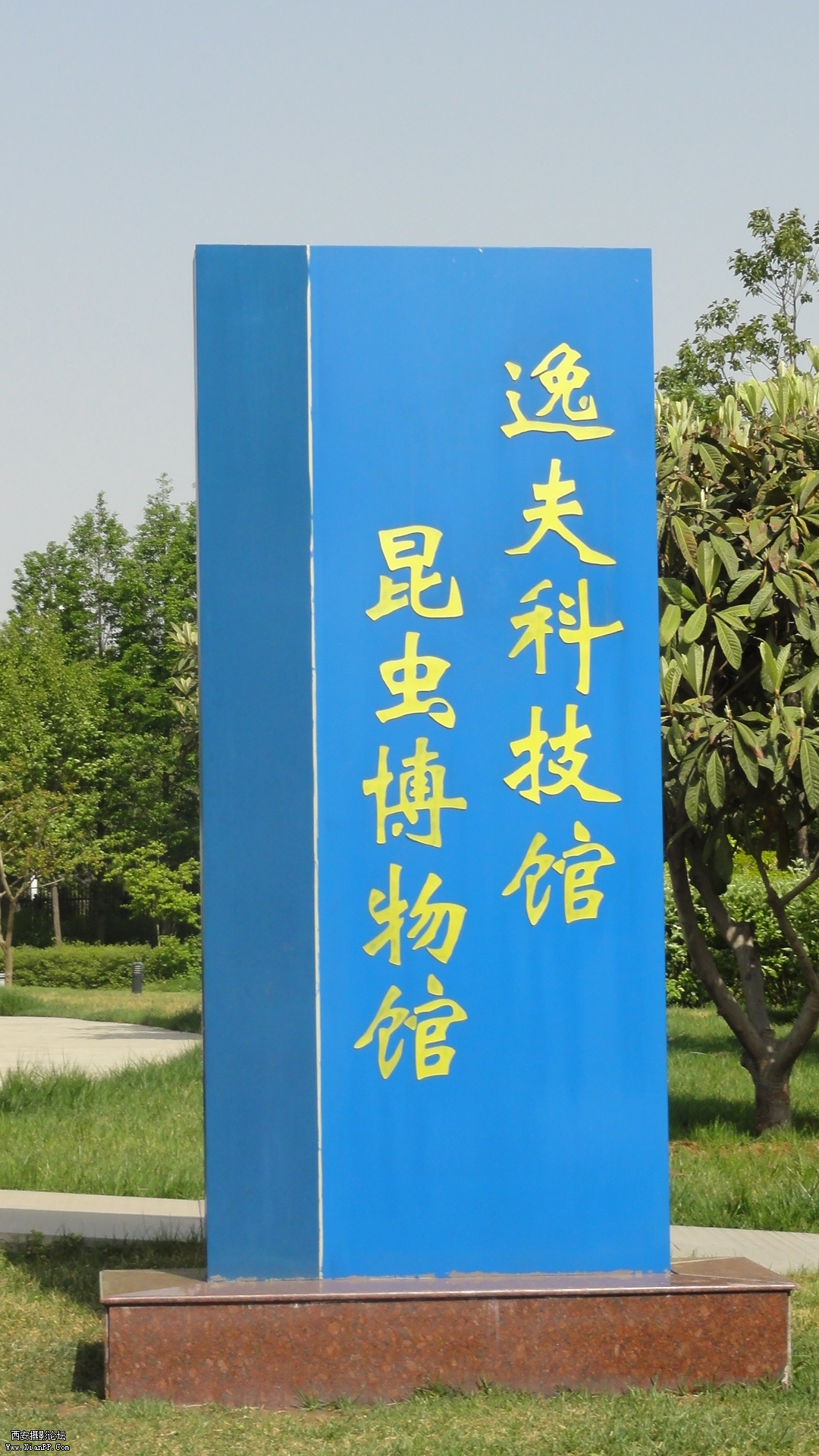 DSC00303.JPG