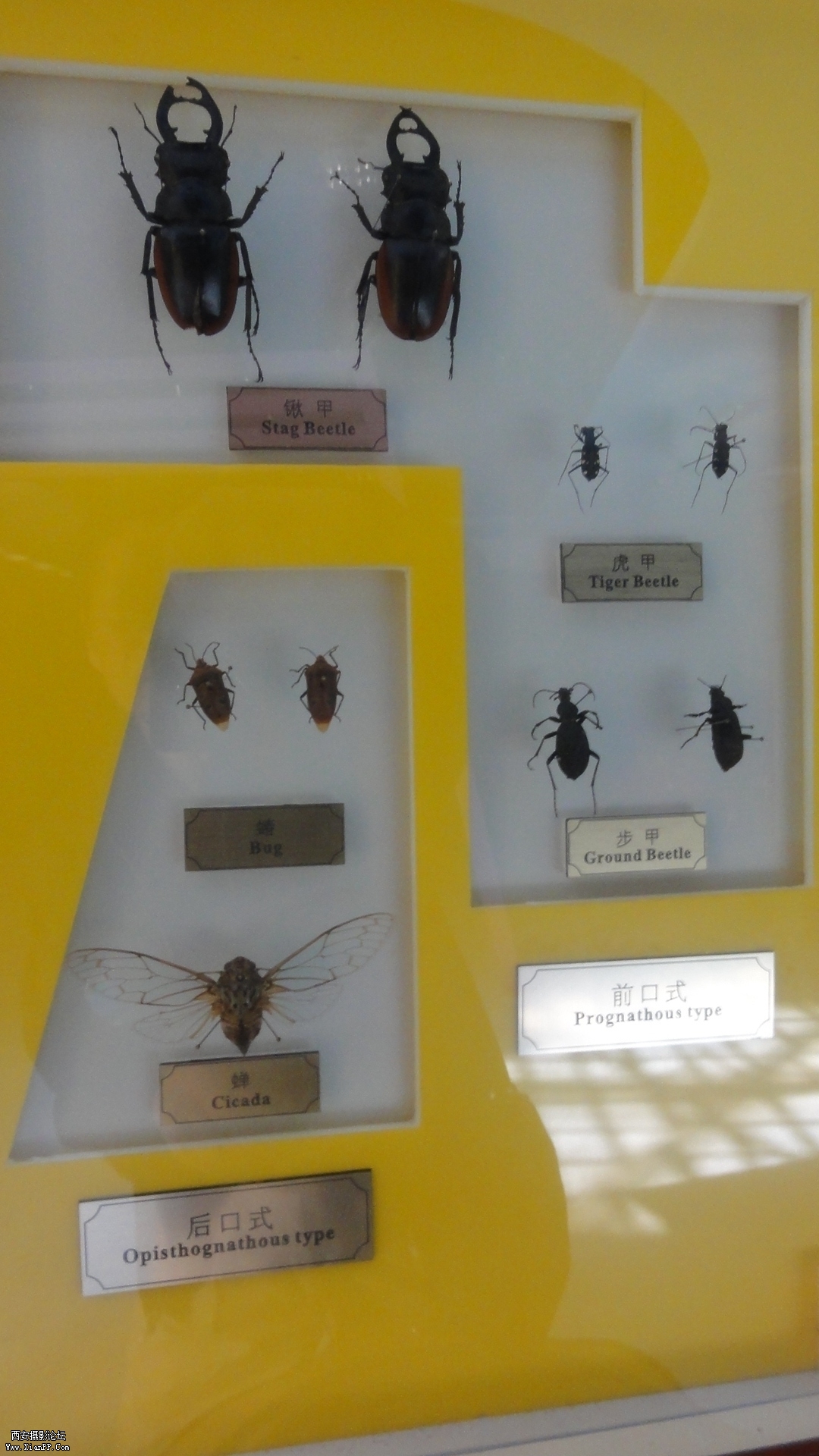 DSC00310.JPG