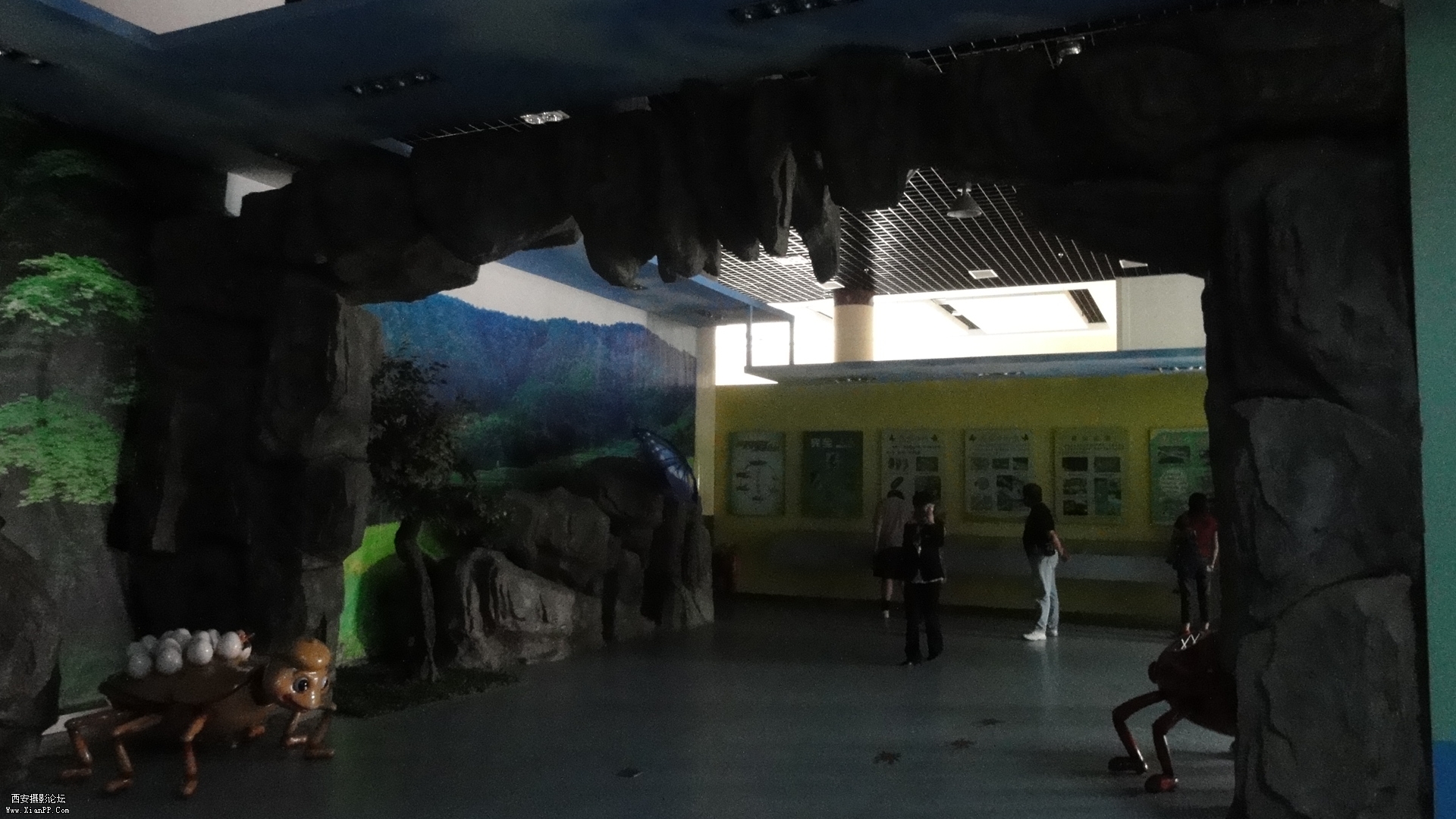 DSC00314.JPG
