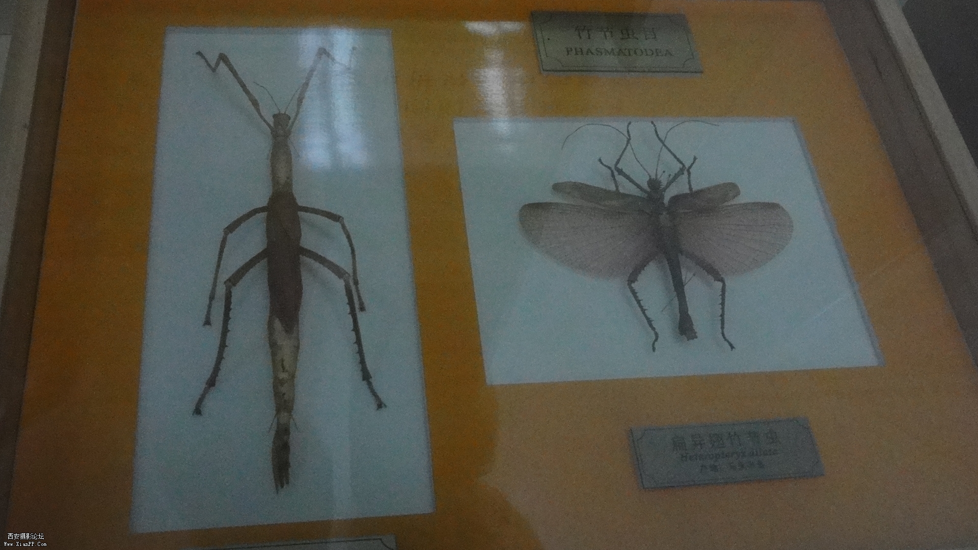 DSC00319.JPG