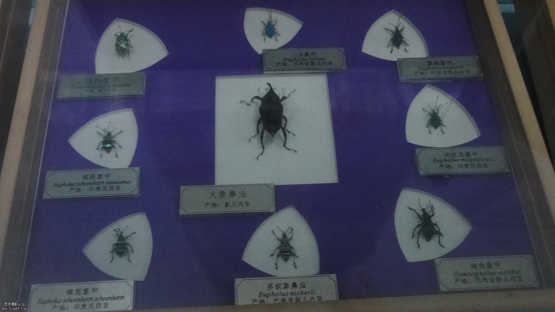 DSC00326.JPG