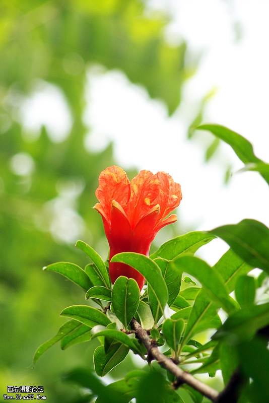100_5155.jpg