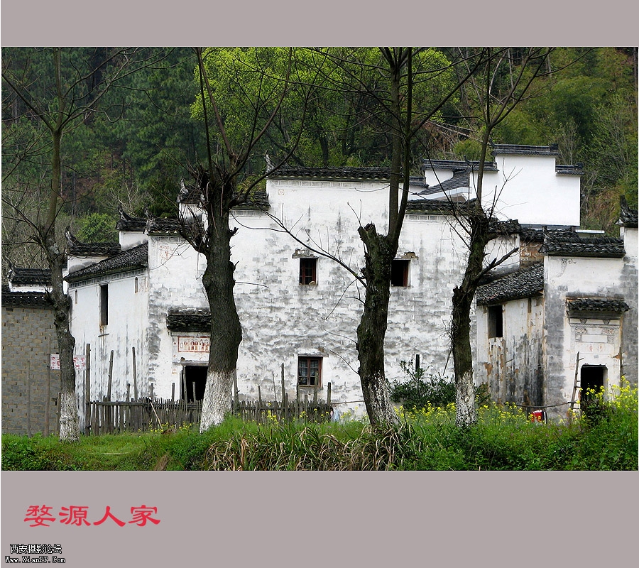 17907876云逸梦尘.jpg