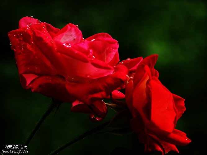 100_5215.jpg