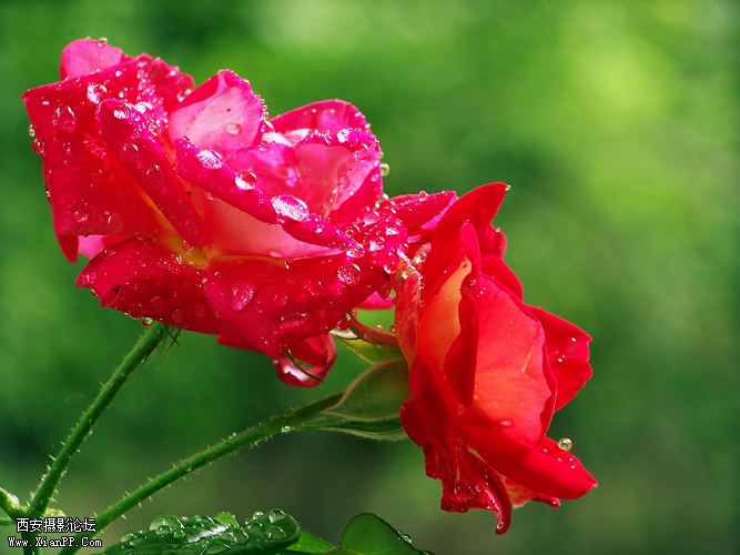 100_5219.jpg