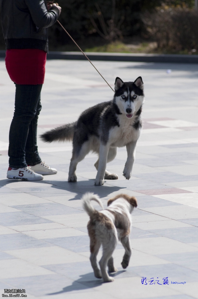 DSC_0654-small.jpg