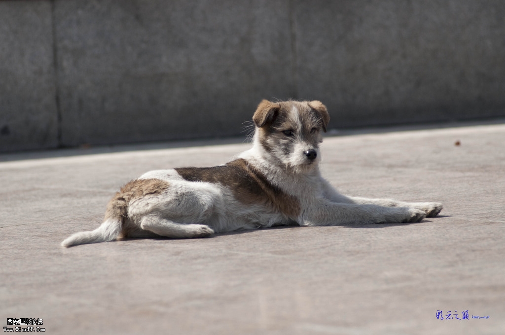 DSC_0670-small.jpg