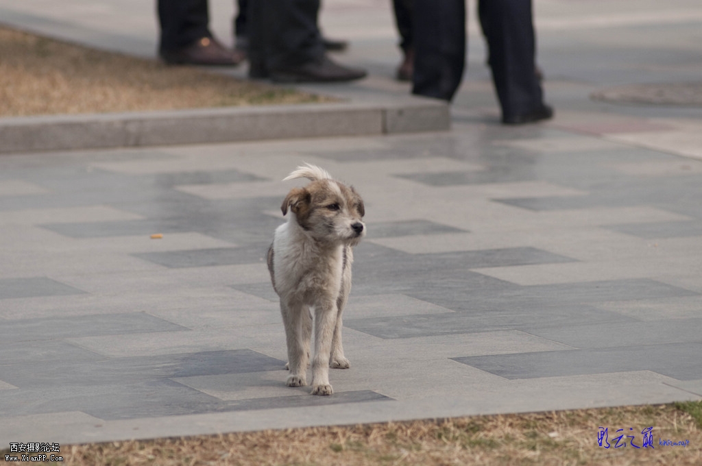 DSC_0702-small.jpg