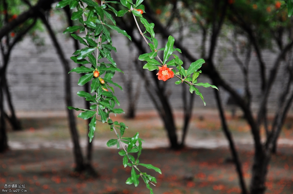 DSC_0148.jpg