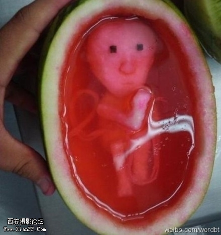 p_large_b4RH_24f20003a27f5c43.jpg