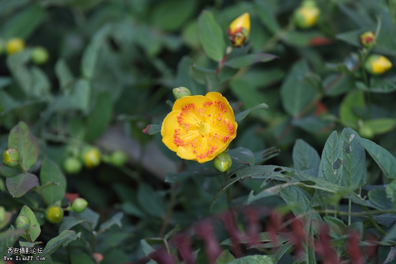 201105250854_副本.jpg