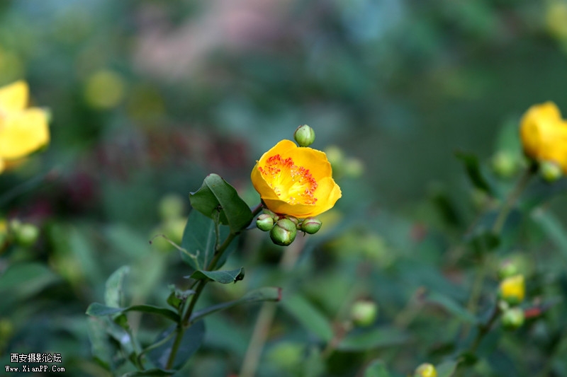 201105250853_副本.jpg