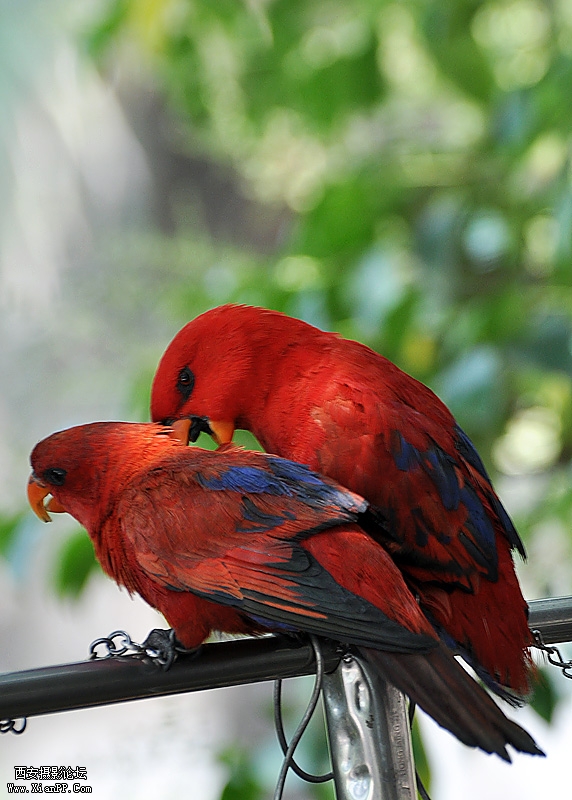 DSC_0997.jpg