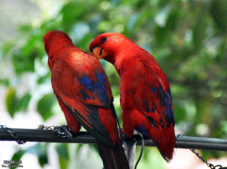 DSC_1007.jpg