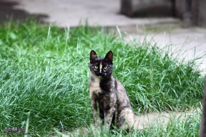 201105301556_调整大小.JPG