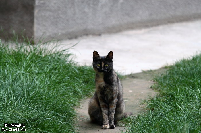 201105301557_调整大小.JPG