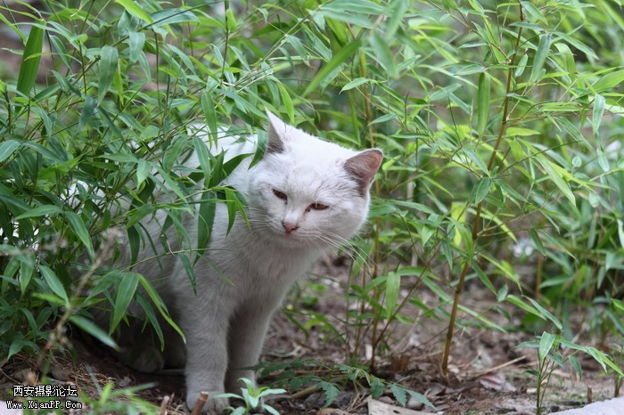 201105301558_调整大小.JPG
