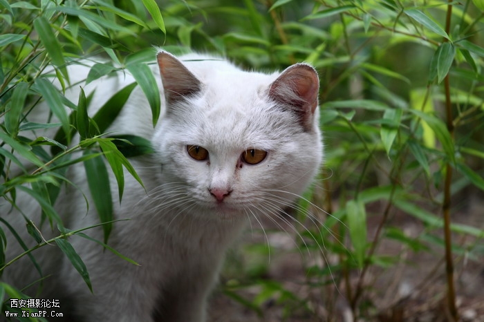 201105301559_调整大小.JPG