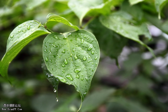 201106081965_调整大小.JPG