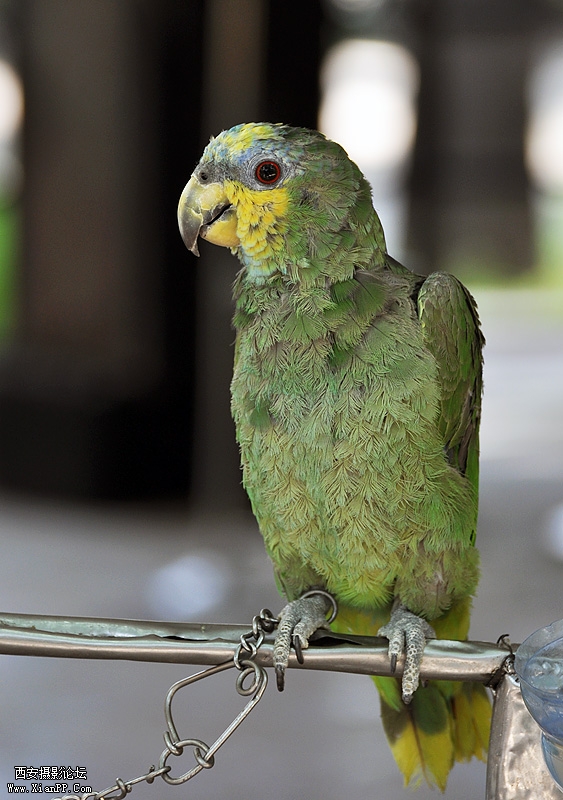 DSC_1009.jpg