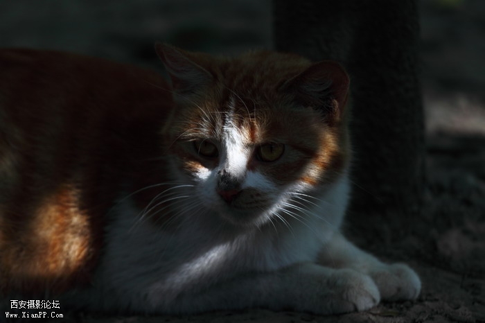 201106102003_调整大小.JPG