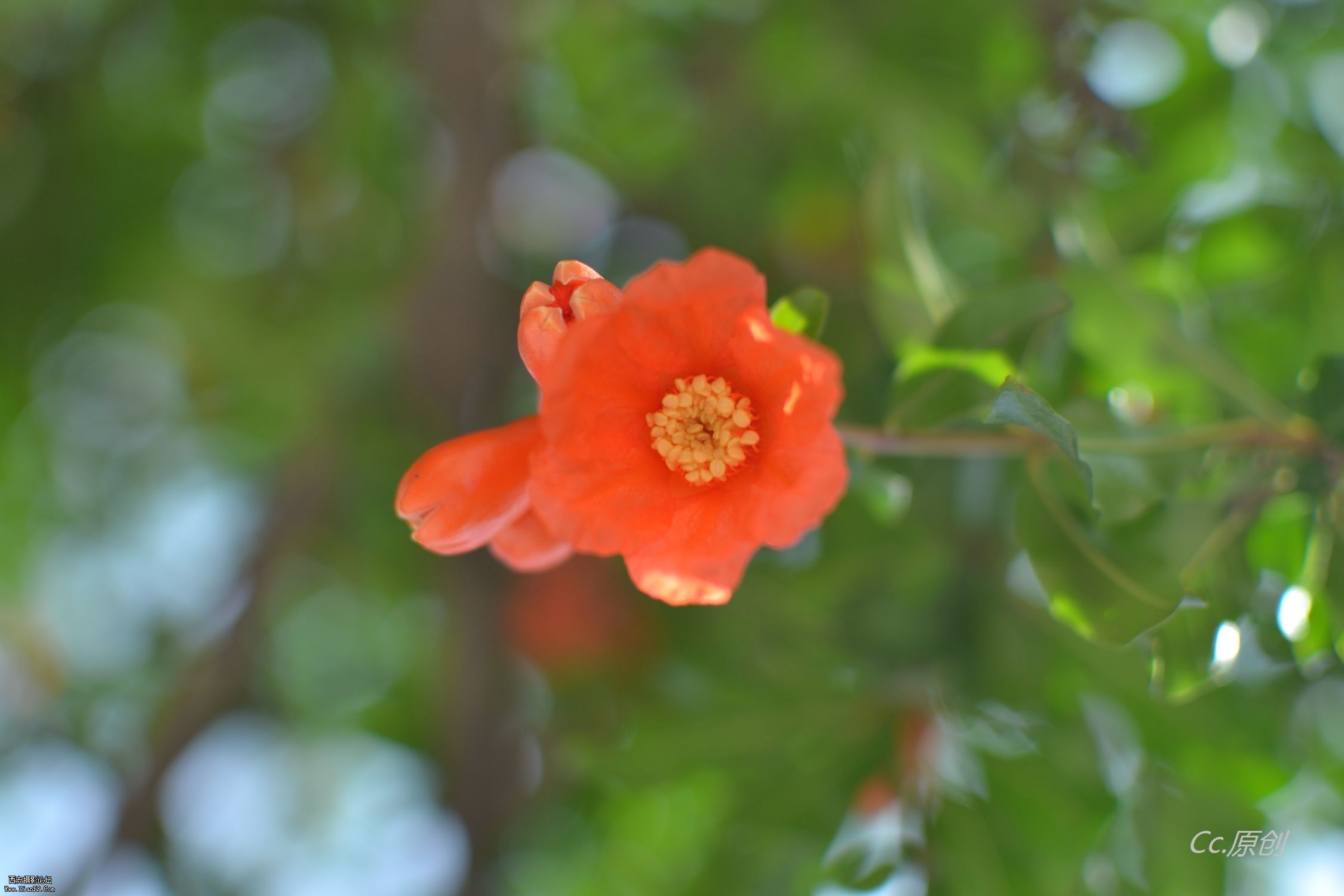 DSC_0193.jpg