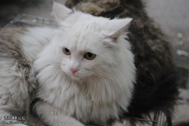 nEO_IMG_DSC_00641_副本.jpg