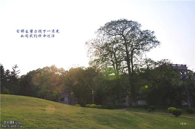 dsc_0414_副本_副本.jpg