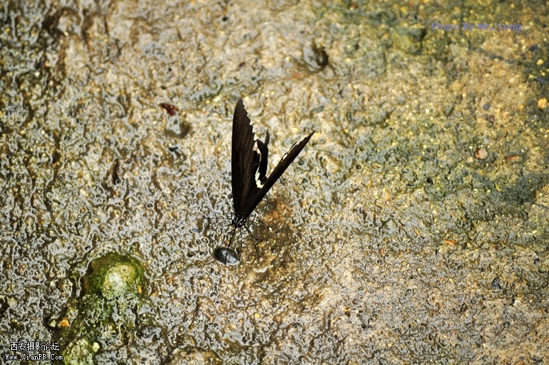 DSC_2301.JPG