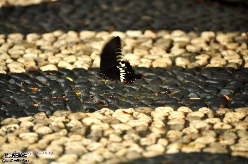 DSC_2308.JPG