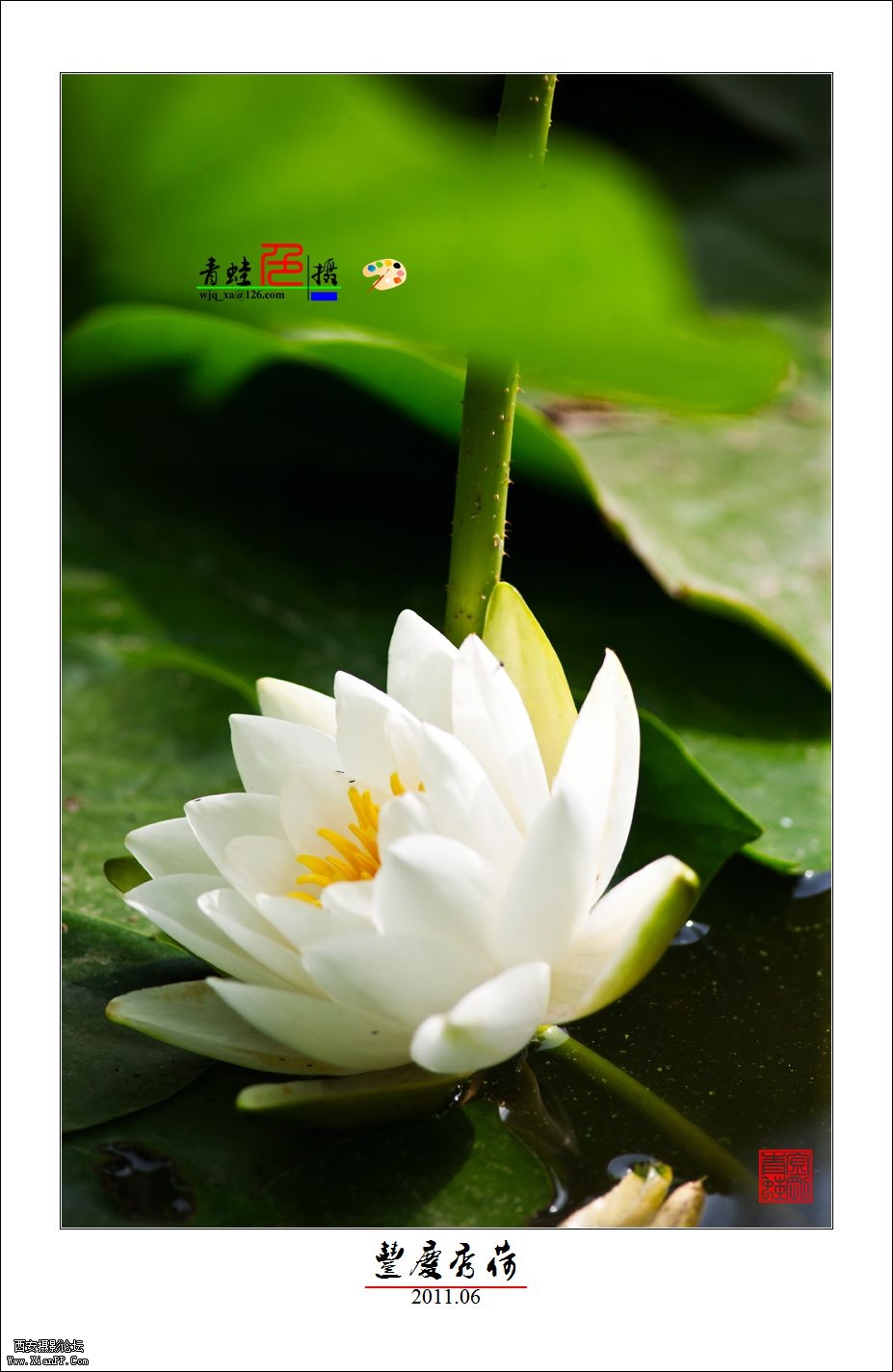 DE5M0143 副本.jpg