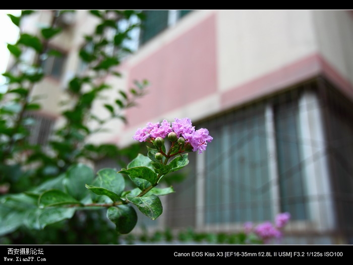20110619佳能1635雨天片子2443_调整大小.JPG