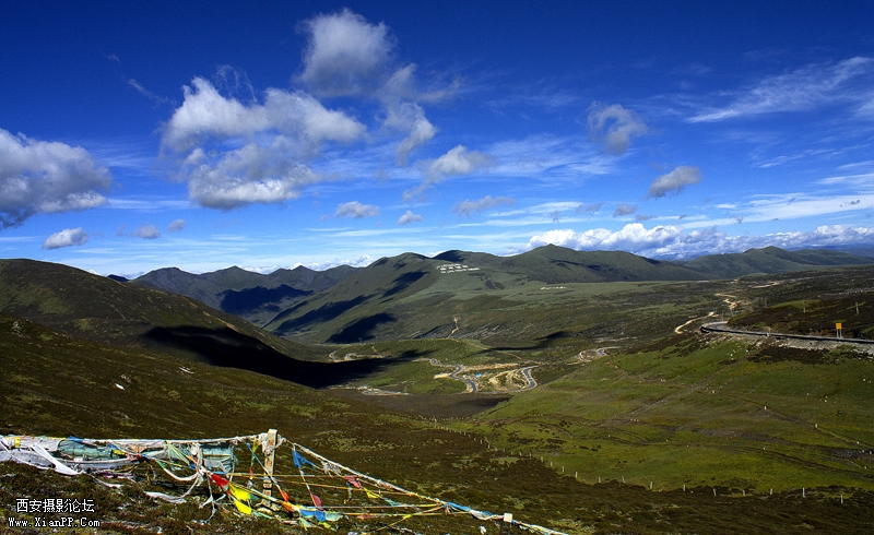 _MG_1515.jpg