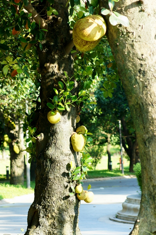 DSC01458_nEO_IMG.jpg