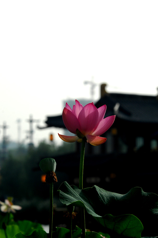 DSC_0003.JPG