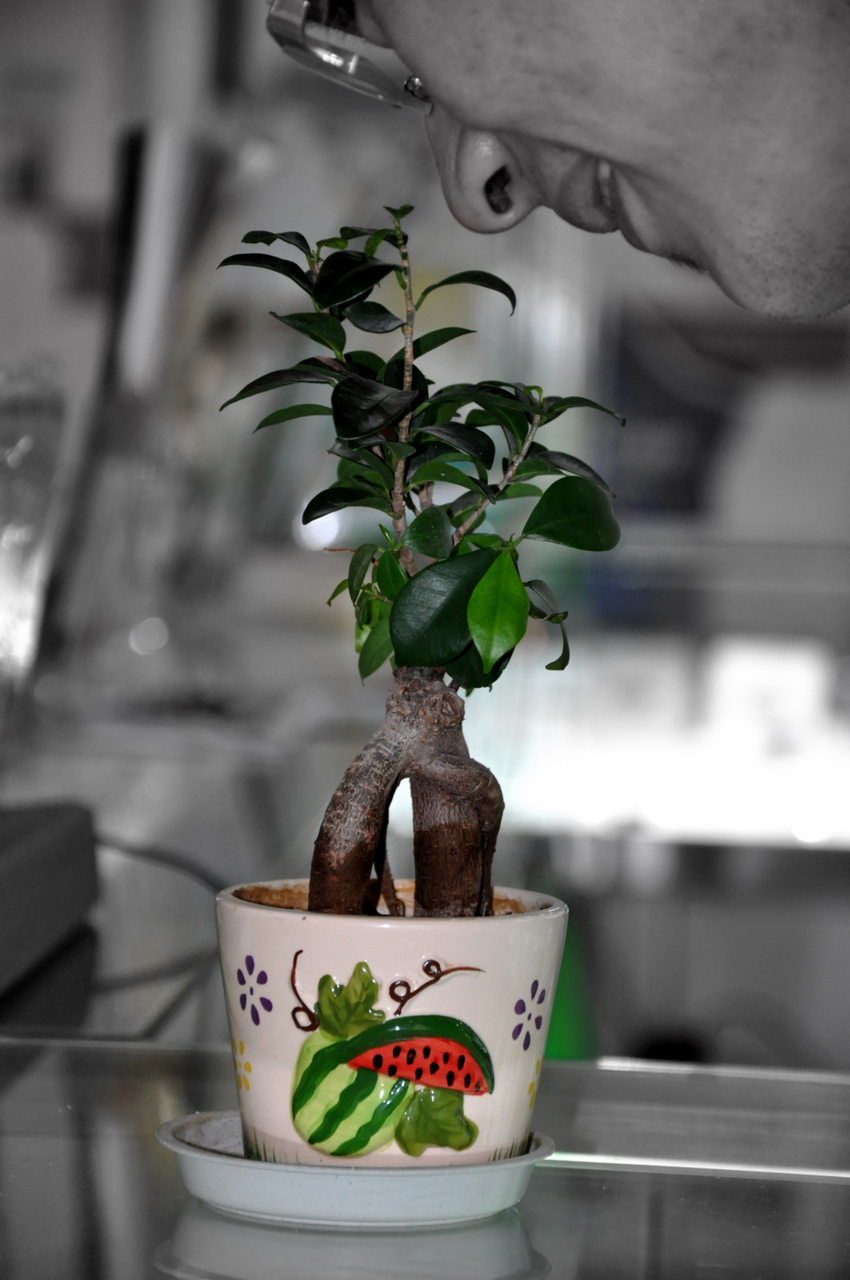 DSC_0080.jpg