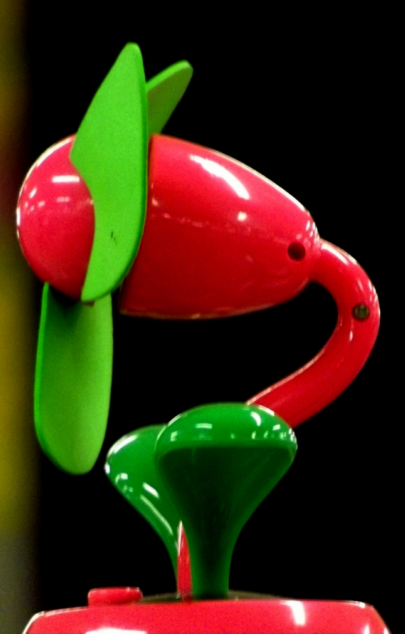 DSCF1007.jpg
